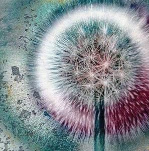 Meet your Posher, Jane